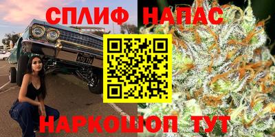 ALPHA PVP Кудрово