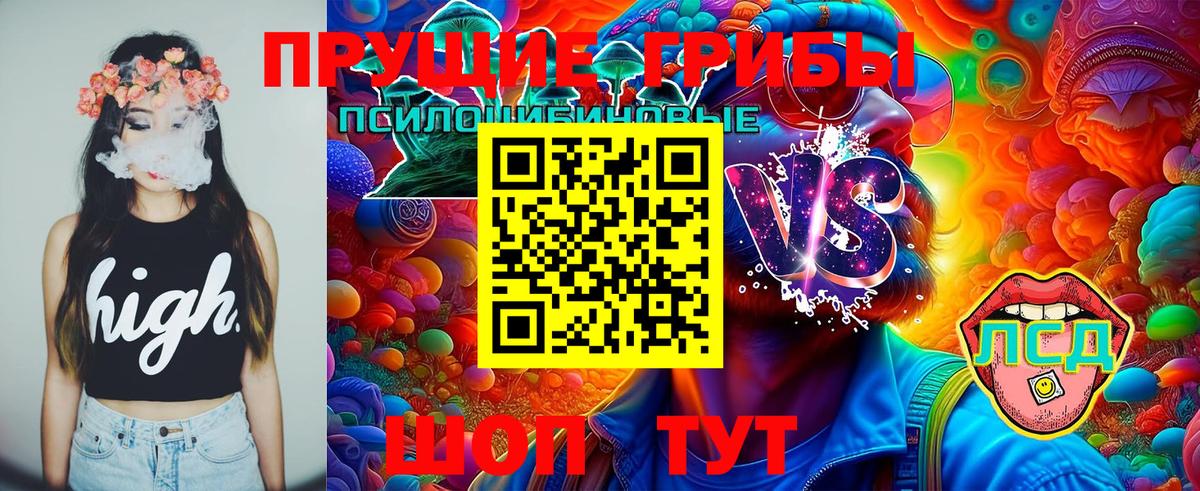 Псилоцибиновые грибы Psilocybine cubensis  Вход с VPN  Конаково  Псилоцибиновые грибы GOLDEN TEACHER 